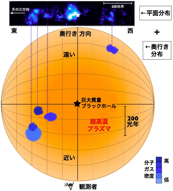 銀河の仕組み解明へ星のゆりかご立体図