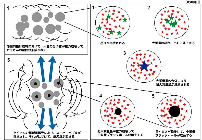巨大ブラックホール誕生の謎解明へ、新モデル提案